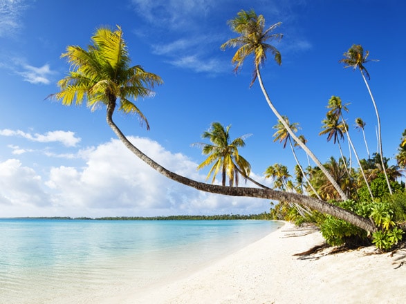 Fort de France, Pointe-a-Pitre, Castries, Bridgetown, Kingstown ,Saint George 